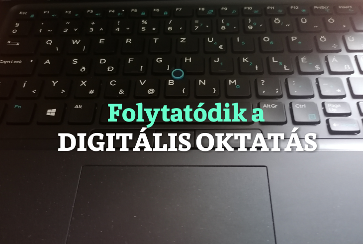 Digitlis munkarend