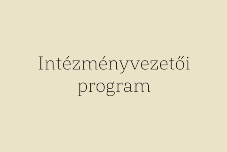 Intzmnyvezeti program